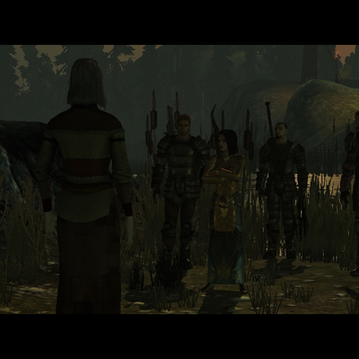 Первая встреча с Морриган в Диких землях Коркари Dragon Age (1024x768px, 168.3Kb)